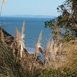 Tracy Bacon Photo 25