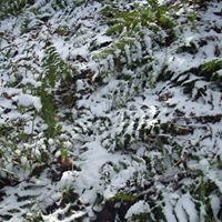 Aaron Weaver Photo 23