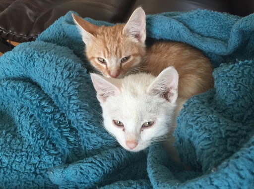 Ellen Griffin Photo 13