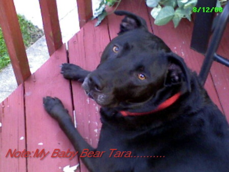 Irene Ramirez Photo 22