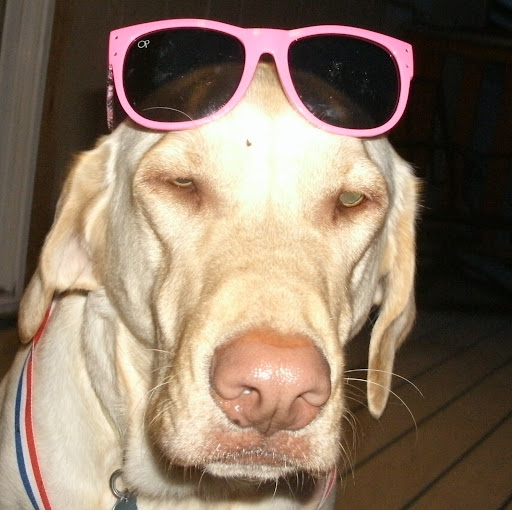 Michelle Kuehn Photo 29