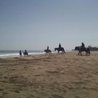 Joann Reynolds Photo 32