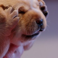 Robert Wirth Photo 22