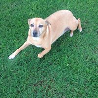 Martha Harmon Photo 7