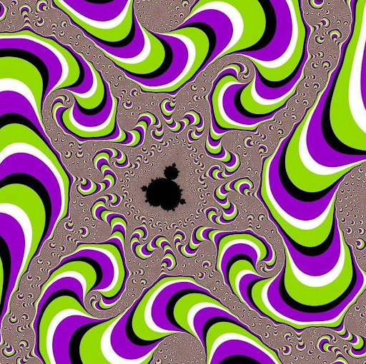 Jillian Olson Photo 18