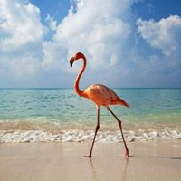 Sally Blevins Photo 7