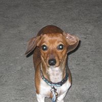 Lisa Harr Photo 7
