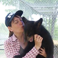 Chris Mccollough Photo 12