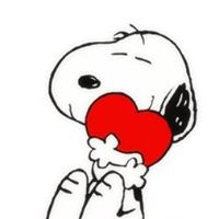 Susan Orman Photo 20