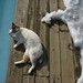 Juanita Winter Photo 11