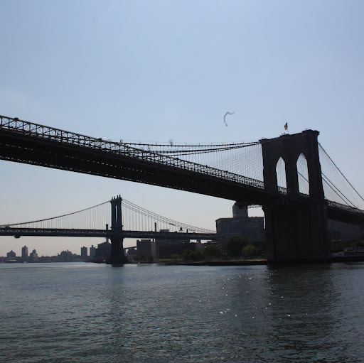 Elizabeth Morin Photo 16