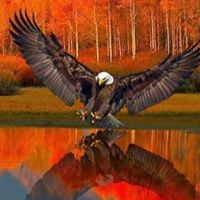 Steven Rice Photo 41