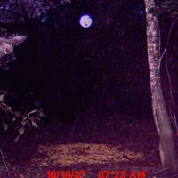 Elaine Stevens Photo 21