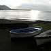 Michael Howe Photo 31