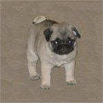 Jonathan Roach Photo 26 Jonathan Roach Photo 26