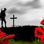 Michelle Herzog Photo 15