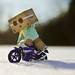 Albert Snow Photo 25