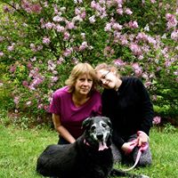 Cheryl Donovan Photo 15