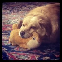 Chris Spring Photo 17