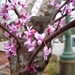 Joni Bloom Photo 10