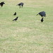 Michele Starling Photo 17
