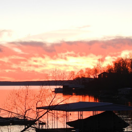 Ellen Wolfe Photo 17