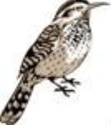 Renee Roberts Photo 1