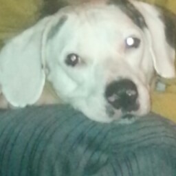 Christina Wagoner Photo 4