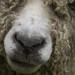 Robert Manes Photo 14