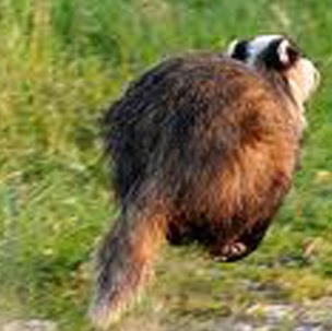 Kim Rasmussen Photo 38