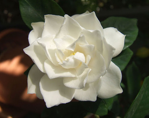 Marilyn Reynolds Photo 9