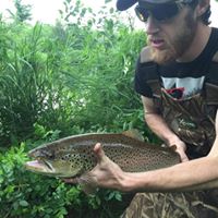 Daniel Macdonald Photo 30