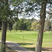 Dewayne Greening Photo 9