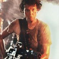 Julie Ripley Photo 17
