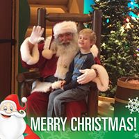 Alyssa Carey Photo 6