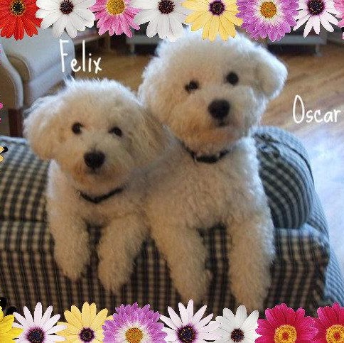 Julia Johns Photo 14