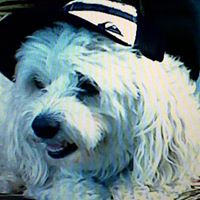 Betty Mooney Photo 7