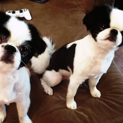 Christine Crosby Photo 6