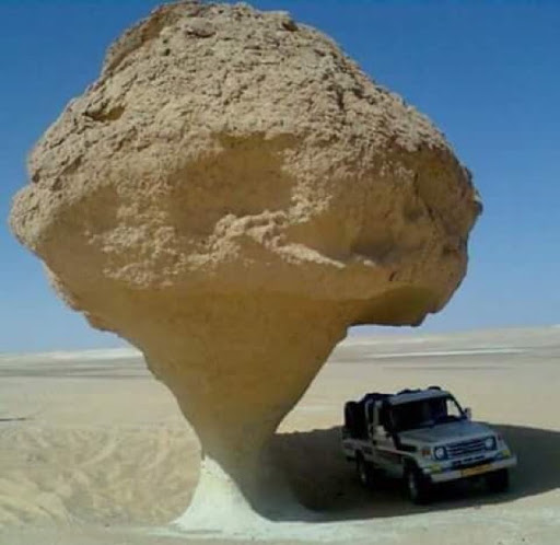 Abubaker Ahmed Photo 9