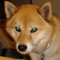 Marian Learned Photo 2