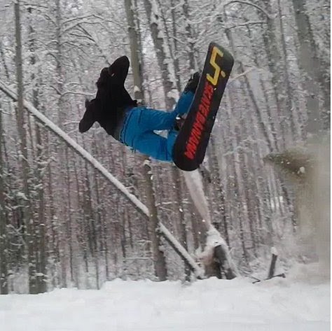 Tracy Rogers Photo 42 Tracy Rogers Photo 42