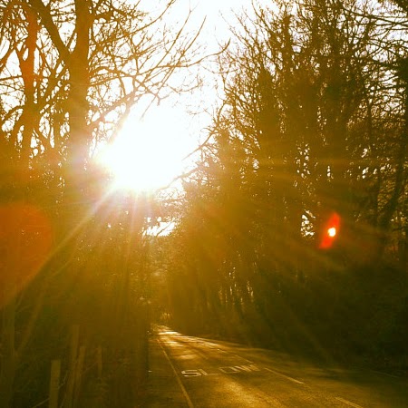 Matthew Thorne Photo 8