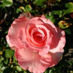 Elizabeth Starling Photo 11