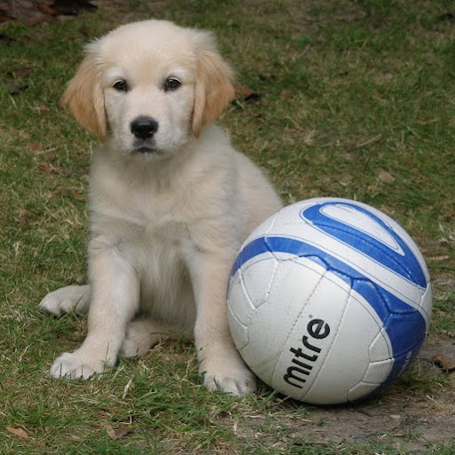 Kathryn Stanford Photo 14