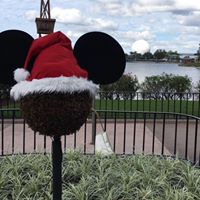 Julie Horvath Photo 45 Julie Horvath Photo 45