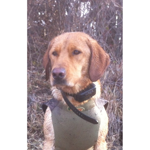 Charlie Stephens Photo 28