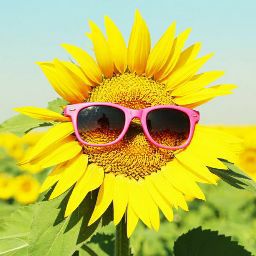 Jessica Harding Photo 5