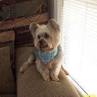 Joann Graham Photo 36