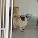 Dat Do Photo 29