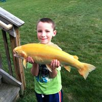 Nathan Lehman Photo 19